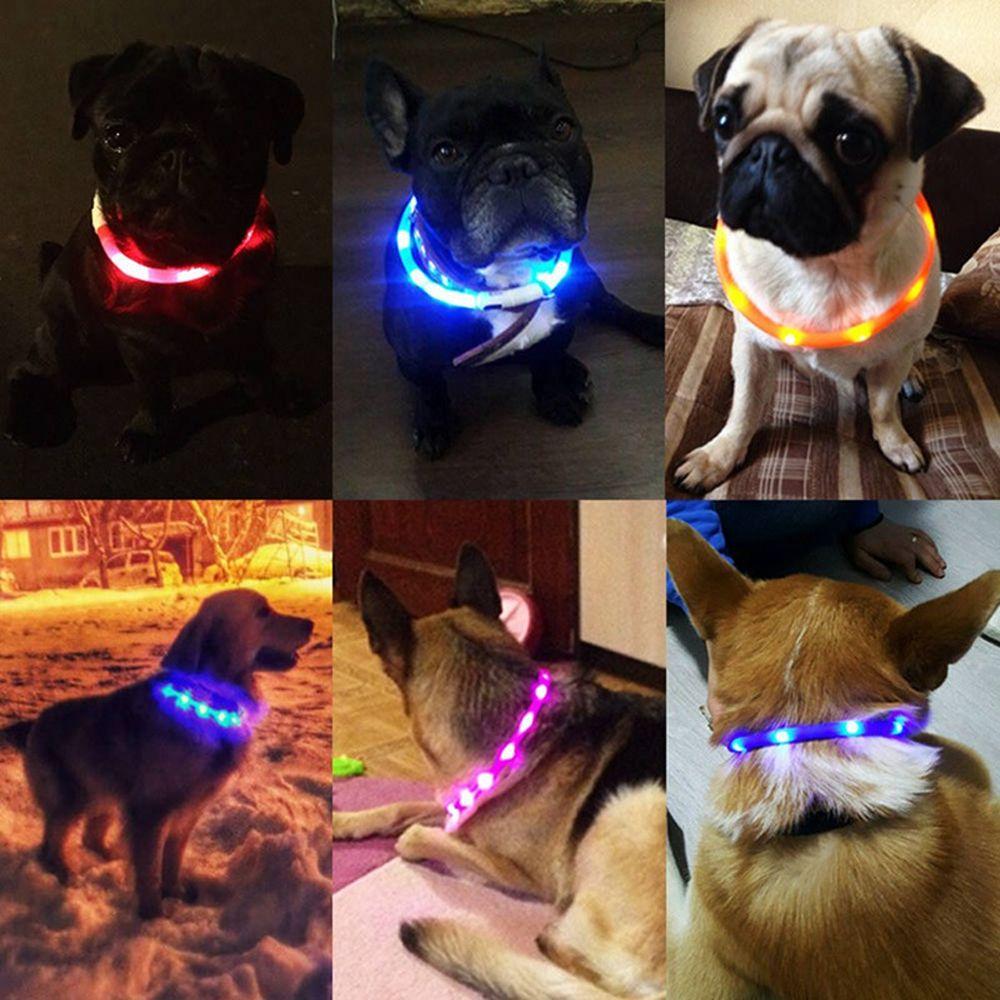

Glowing USB Accessories Collars Pet LED Dogs
