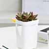 Self Watering Pots Watering Nursery Pot With Drainage Holes Translucent Plastic Planters Mini Flower Seedlings Pot