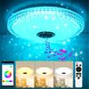 Smart LED Ceiling Light Dimmable RGB Bluetooth Remote Control Music Lamp Acrylic Ceiling Lamp Night Lamp for Family Decorative