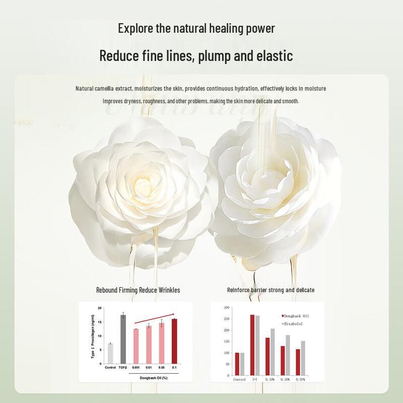 DANZ Skincare Collection: Toners & Essences