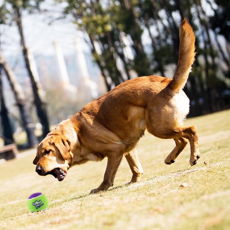 Jouet GiGwi Balle G couinante pour chien