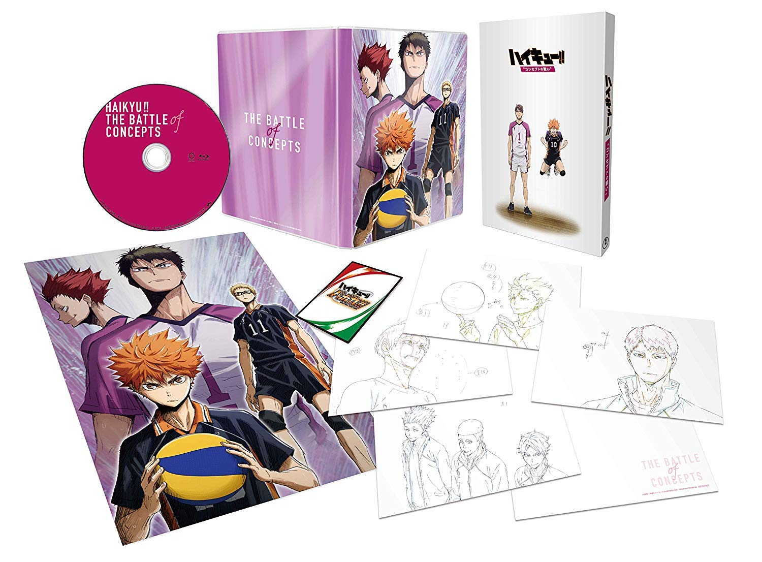 

Movie version omnibus Shiratorizawa Academy High School Battle Concept production limited Haikyu!! Battle (First edition) [Blu-ray]