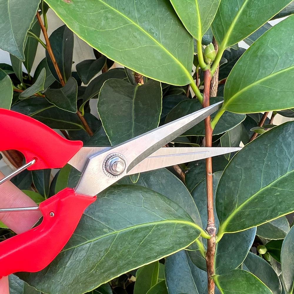 Stainless Steel Fruit Harvesting Shears Pruning Scissors for Orchards Branches Bonsai & Vegetable Fruit Thinning