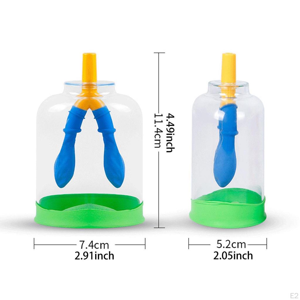 Lung Function Demonstration Model Classroom Teaching Aid DIY Breathing Simulation Device for Ages 8+