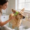 Pet Bath Brush Long Handle Silicone Grooming Tool For Dogs And Cats