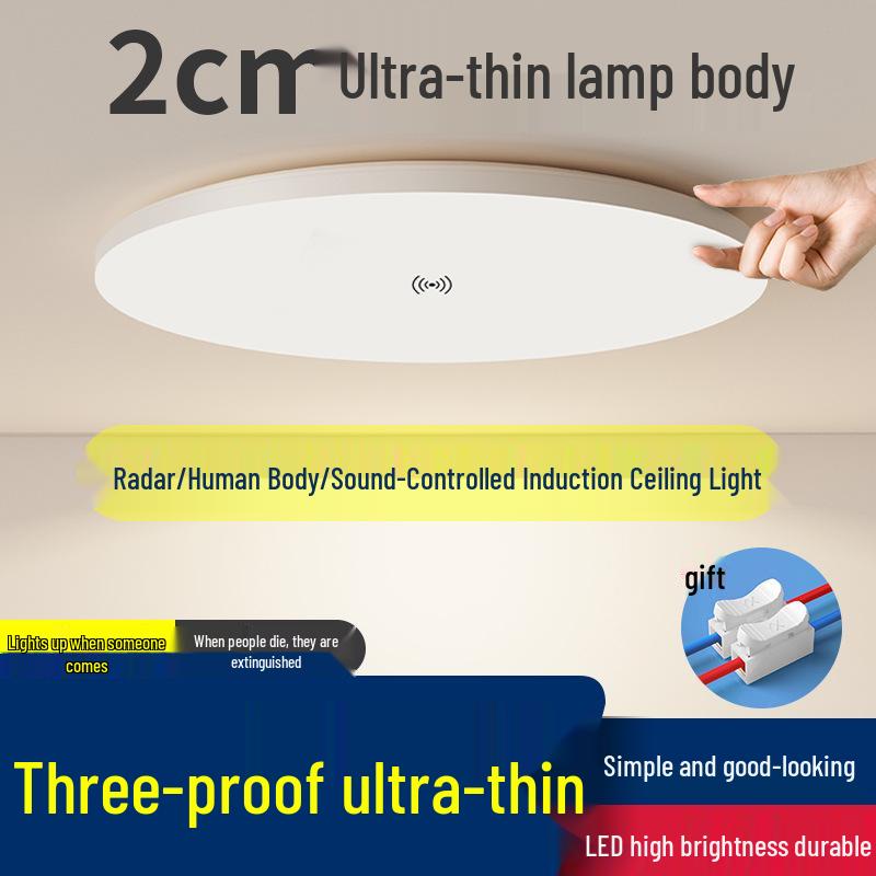 Smart Infrared Radar Sensor Ceiling Light for Stairways, Hallways, and Corridors with Voice Control