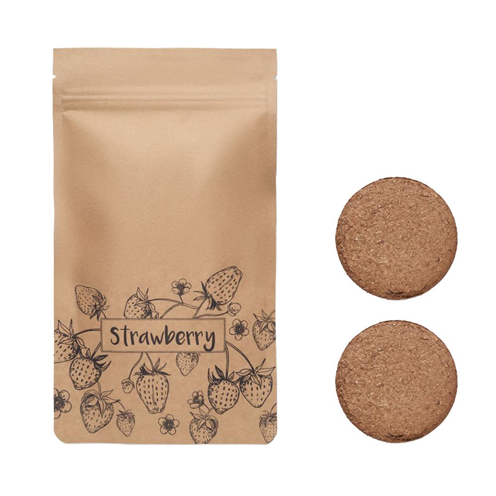 MidOcean Fresa Kit Strawberry Seed Growing Kit