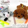Cel mai bun penar cu animale Toy Poodle 48103