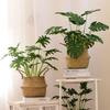 Nordic Artificial Bonsai: Creative Dried Flower Arrangements for Home and Office Decor
