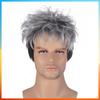 2025 Europäische Mode Perücke Kurze Gerade Perücke Für Männer HW710