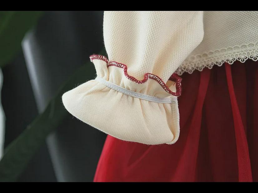 Frühlingsprinzessin Besticktes Langarmkleid für Mädchen