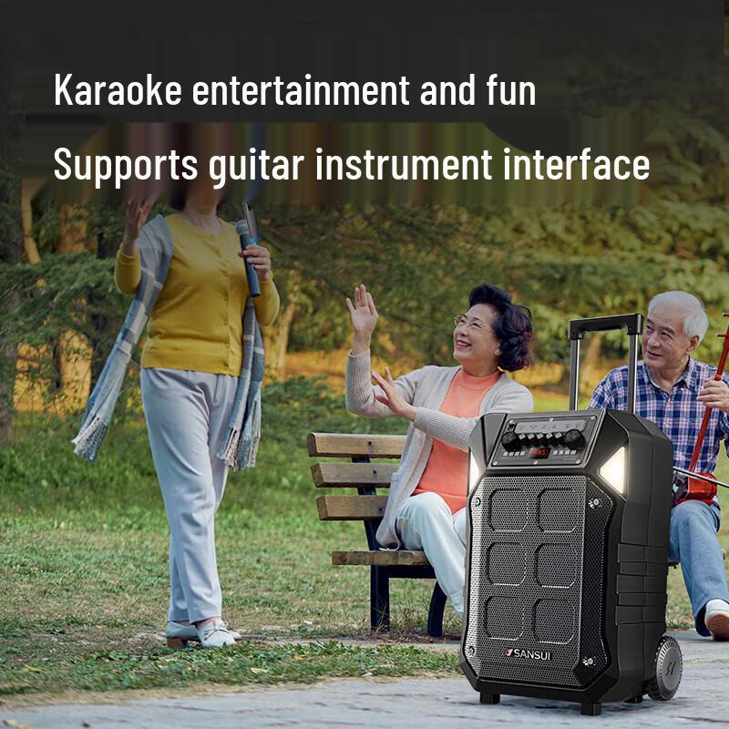 Sansui D12 Outdoor Karaoke Speaker with Wireless Mic