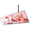 Commercial Digital Signage Display