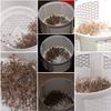 Electric Fly  Zapper Mosquito Insect  LED Light Trap Lamp 