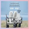 Accesorii pentru bagaje – Cărucioare pentru bagaje