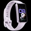Huawei Band 10 Standard Edition (CN version)