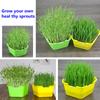 Pentagon Seed Sprout Tray Double-layer Bean Growing Plate Shading Cover Seed Seedling Starter Dish Hydroponics Plant Nursery Pot