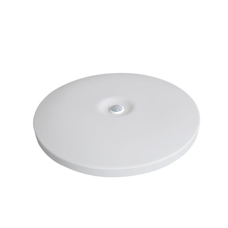 Ultra-thin Radar Induction Ceiling Light: Voice and Motion Activated for Stairwells and Corridors, Waterproof and Dustproof