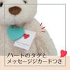 Shinada Global Lovely Worry Bear White (M) Teddy Bear LOFU-0350W