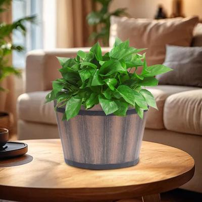Container for Plants with Drainage, Versatile Planter Kitchen and Living Room