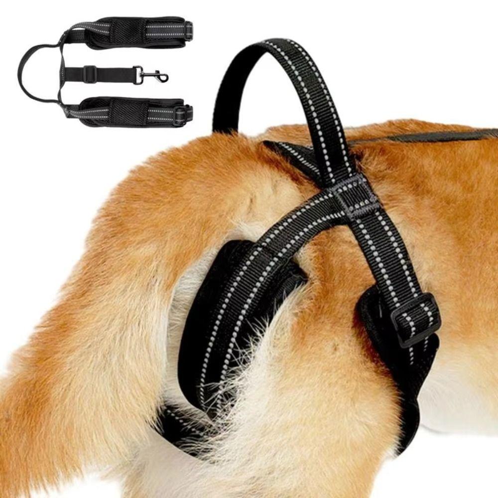 Reflective Strips Dog Sling For Back Legs Adjustable Dog Hip Support Sling  Postoperative