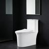China Supplier Modern Western Elongated S-Trap Siphon Flushing One Piece Dual-Flush Ceramic Toilet