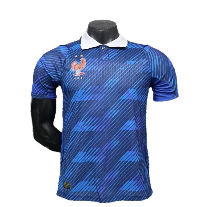 2026 World Cup France Home and Away Fans and