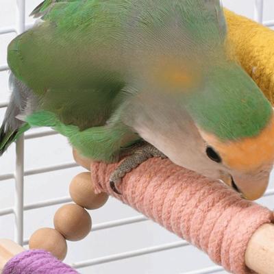 Vögel – Vögel-Spielzeug