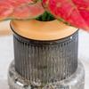 Self-Watering Planter Imitation Glass Vase Hydroponic Plant Pot Transparent Water Storage Tank Mini Desktop Planter for Home Office Decor