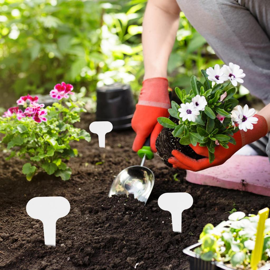 100pcs Garden Plant Tags PVC Potted Plants Labeling Markers Garden Tags Vegetable Labels for Plots Flower Pots Shrubs Gardeners