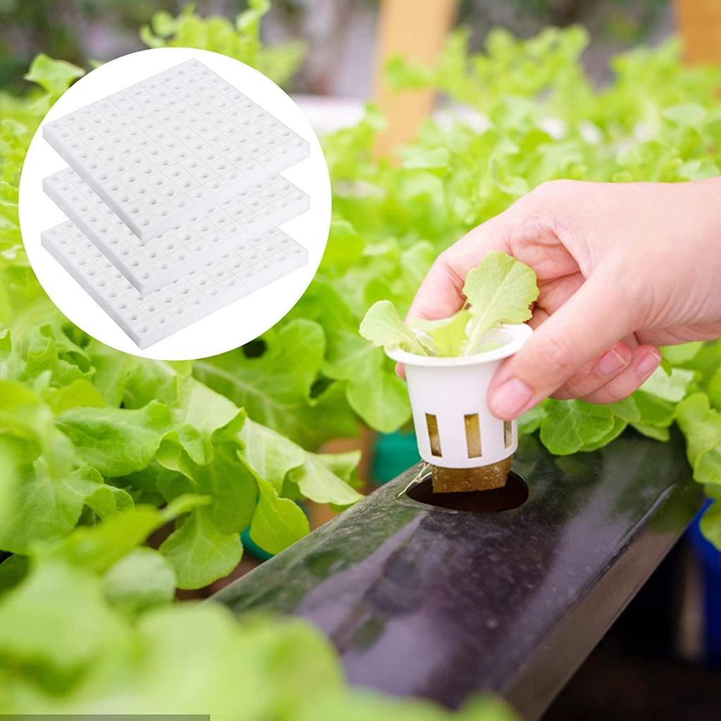 100-500 ks Hydroponické houbičky Zahradnický nástroj Čtvercové Pěstování bez půdy Rostlina Sazenice Skleníková houbička Růst zeleninových pupenů
