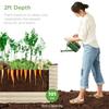 4x2x2ft Outdoor Metal Raised Garden Bed Oval Deep Root Planter Box for Vegetables Flowers Herbs and Succulents w 101 Gallon Cci