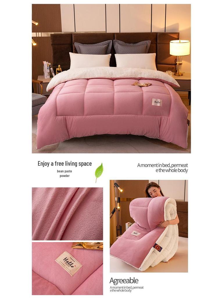 Double-Sided Lambswool Fleece Quilt: Thick, Warm Comforter for Winter, Spring, and Autumn