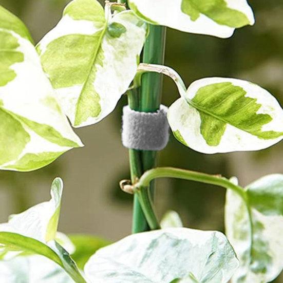 16,4 Fuß Pflanzenbinder Gartenband Wiederverwendbarer Klettverschluss Doppelseitiger Pflanzenstützbinder für Kletterpflanzen Kabelorganisation