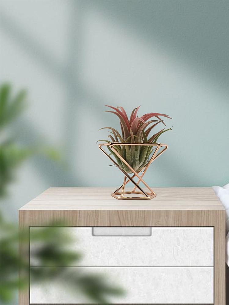 Ananas Pflanzenständer Geometrischer Luftpflanzenständer Puderdosenhalter Roségold (Material: Metall, Größe: Durchmesser 55MM)