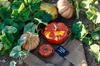 STAUB Cocotte Cinnamon 15cm Ceramic Storage Microwave Safe Japanese La Cocotte Special Shape "Pumpkin 0.68ml" Heat-Resistant Container, [Official