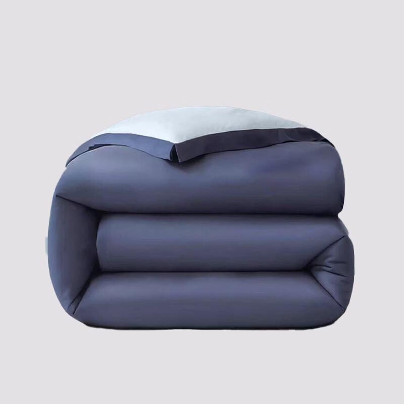 Champion Plant-Based Soybean Fiber Quilt