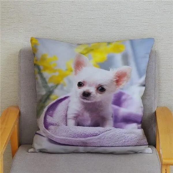 Cute Mini Chihuahua Dog Decorative Pillowcase Office Living Room Car Ornaments Home Pillowcase