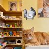 Light Button Sticker 2-Piece 2D Cute Cartoon Decals Cat Outlet Stickers Room Decor For Home Office Kids Room Bedroom Kitchen