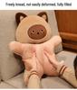 Soothing Plush Beanbag Doll & Keychain Pillow Cushion
