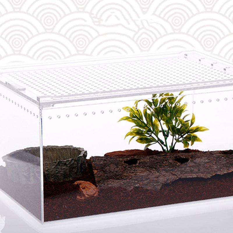 Reptile Box Feeding Small Pet Horned Spider Lizards Snail Snake Clear Designed Box Geckos Silkworms Insect Snake House