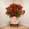 Heavy Duty Plant Pots Stand Trolley for Easy Movement of Large Pots and Planter with Brake Wheels Indoor and Outdoor Use