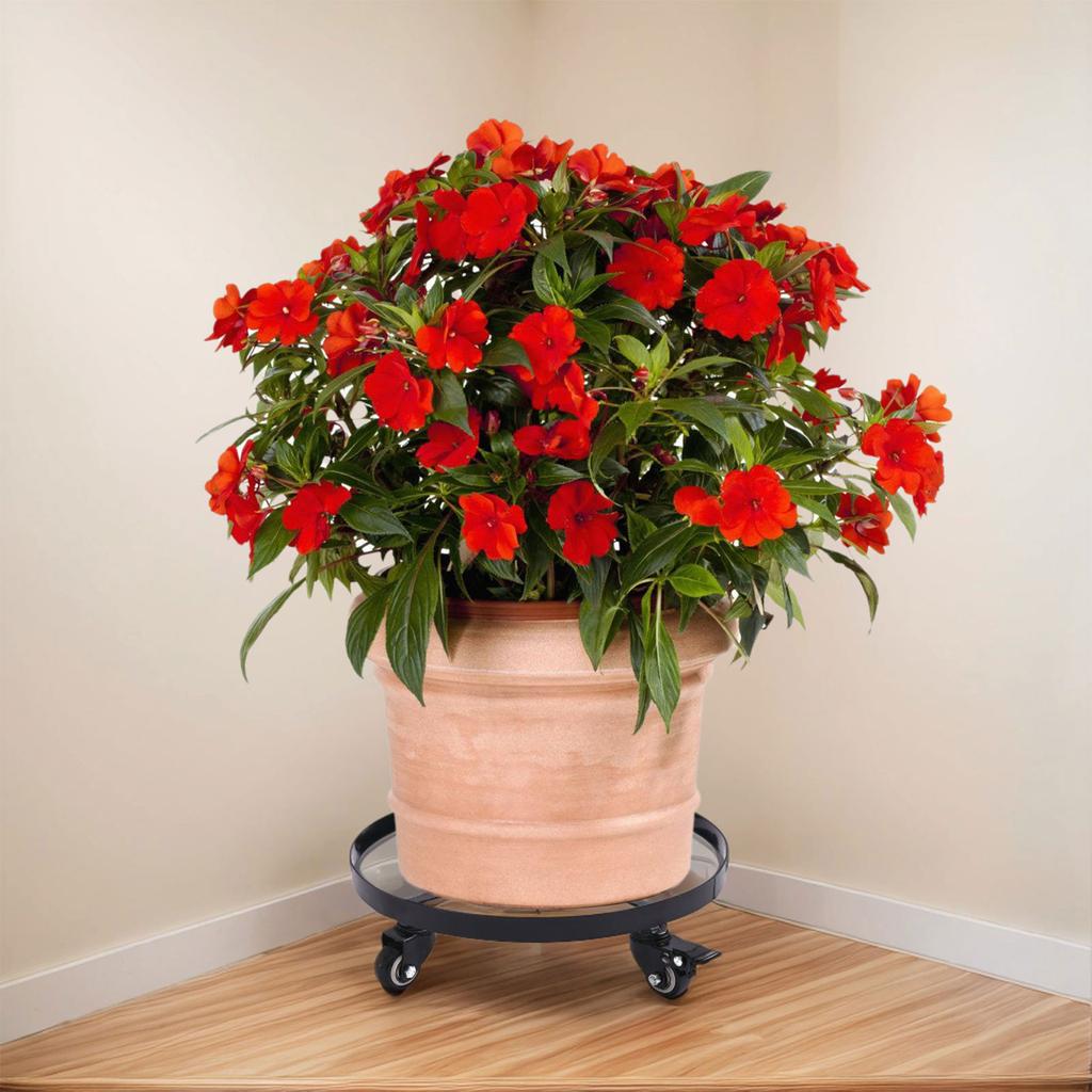 Heavy Duty Plant Pots Stand Trolley for Easy Movement of Large Pots and Planter with Brake Wheels Indoor and Outdoor Use