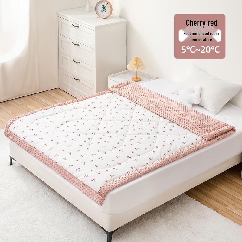 Huangu Thickened Warm Minky Dot Quilt