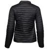 Tee Jays Womens/Ladies Padded Zepelin Jacket