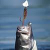 10# Barbed Hook Fishing Lure Set Insects Bait Fly Nymph Stonefly Lure