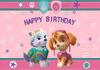 PAW Patrol Happy Birthday Backdrop Cartoon Puppy Rescue Kids Photo Background Banner Boys Girls Baby Shower Party Decor Supplies