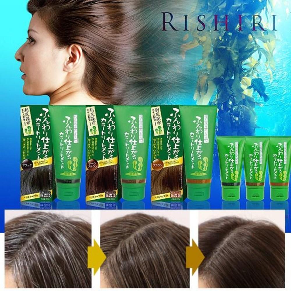 Hair Dye for Pregnant Women DIY Root & Gray Hair Water Natural Japanese Mild Partial Shampoo-Type Hair Dye Rishiri Black 200g 1 pcs