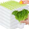 500x Hydroponik-Schwammblock Soillose Hydroponik-Setzlingsschwämme Anzuchttöpfe KulturGemüse Quadratische Setzlingsschwammblöcke