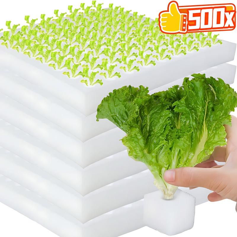 500x Hydroponik-Schwammblock Soillose Hydroponik-Setzlingsschwämme Anzuchttöpfe KulturGemüse Quadratische Setzlingsschwammblöcke